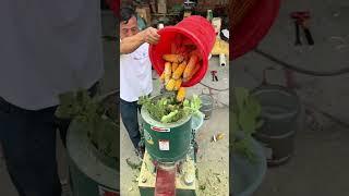 Benefits of Inclined Rollers in Feed Pellet Machine