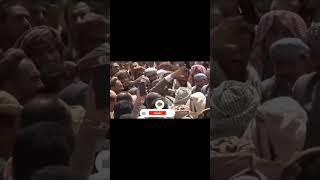 #بحضورالمراغة بن صيّاد#بني الحارث وبتزكية ومبايعة قبائل اليمن اعلنت تنصيب الشيخ#محمد بن ناجي جمعان