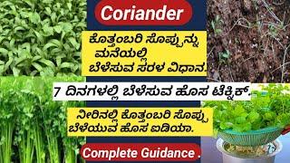 How to Grow Coriander at Home/ಕೊತ್ತಂಬರಿ ಸೊಪ್ಪು ಮನೆಯಲ್ಲಿ ಬೆಳೆಯುವ ಪದ್ದತಿ/Easy Method/Best Tips.