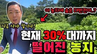 경기도 양평에 30%대까지 떨어진 농지..! 농촌체류형쉼터가 연말부터 시행하니 지금 이 농지를 당장 사셔야 합니다! 그래야 연말에 큰 수익을 보실수 있습니다!! 정민준의 경매쇼