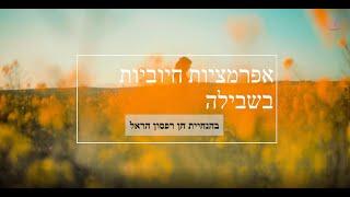  אפרמציות חיוביות לנשים - חן רפסון הראל 