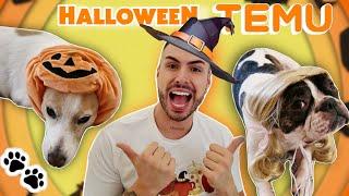 Temu Halloween στολές για σκύλους | The Real Halloweek day 7