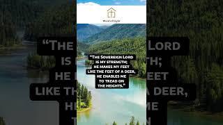 #dailyprayer #pray #prayer #blessed #blessings #scripture #bible #verse #dailybread #lord #savior