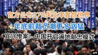 官方公布37%失业率震惊世界!年底前裁员潮更加凶猛！宜兴惨案背后，中国开启遍地献忠模式！(20241119第1311期)