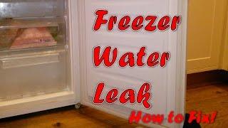 Freezer Water Leak - Complete Solution!!