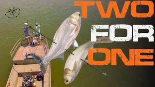 Bowfishing trick shot - Shooting 2 Bighead Asian Carp with one arrow! - Green Way Clips