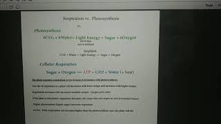 Respiration and Photosynthesis