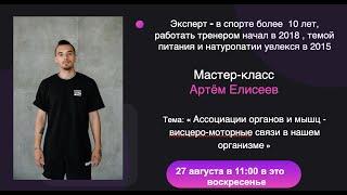 Мастер-класс по теме: « Ассоциации органов и мышц - висцеро-моторные связи в нашем организме »