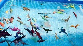 Dinosaurs Pool Edition! Lots of Dinosaurs In Water!@AngelandAaronPlay