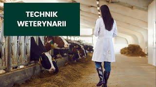 Nasze kierunki - Technik Weterynarii