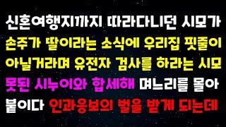 신혼여행지까지 따라다니던 시모가 손주가 딸이라는 소식에 우리집 핏줄이 아닐거라며 유전자 검사를 하라는 시모 못된 시누이와 합세해 며느리를 몰아붙이다 인과응보의 벌을 받게 되는데