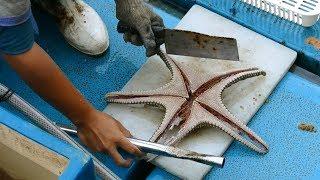 How to Cut up a Live Starfish for traditional Chinese soup