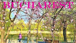 Springtime in Bucharest, Romania | The Most Beautiful Parks of Bucharest in Spring: Morarilor Park