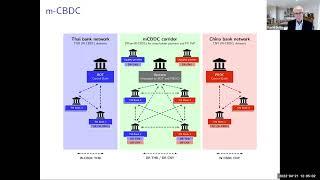 Professor Duffie explains how CBDC could simplify cross border payments