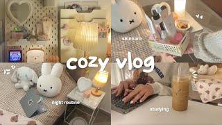 cozy study vlog  pulling an all nighter, cooking ramen, cute & cozy night routine, skincare routine