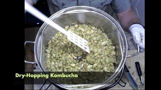 Dry-Hopping Kombucha