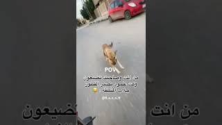 من انت وصاحبك تضيعون وكت يصير الفطور جلاب المنطقة |