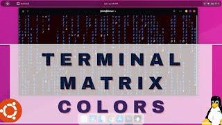 Matrix Animation on Terminal Ubuntu | Linux