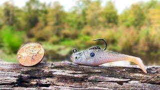 TINY Swimbait Fishing Challenge (Micro Lure)