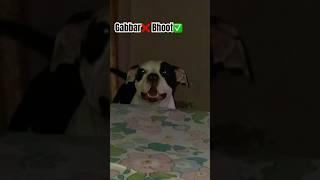 Gabbar Koi Bhoot Se Kam Nahi Hai !!