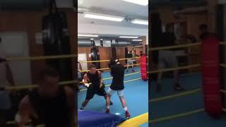 Boxen Sparring Highlights - Arijon Kamaj - 2022