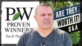 Q&A: Are Proven Winners Plants Worth the Money?