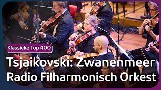 Tsjaikovski: Zwanenmeer | Radio Filharmonisch Orkest o.l.v. Harry Ogg | Klassieke Top 400