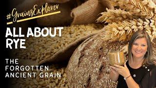 All About Rye: Don't Miss This Ancient Grain! | Meet the Grain