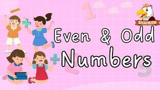 EVEN AND ODD NUMBERS | MATHEMATICS | GRADE 1| SHAHEEN DIGIKIDS |