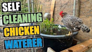 Self Cleaning Chicken Waterer