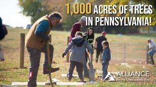 The Forests Program Plants Over 1,000 Acres of Buffer in PA