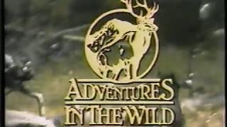 TEXAS WILD BOARS TV Show with Dave Embry