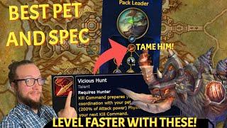 Best PET and SPEC! Use these to Level FASTER in The War Within World of Warcraft