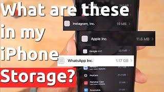 WhatsApp Inc, Google LLC, Instagram Inc and Apple LLC  What are these in my iPhone Storage?