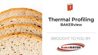 Thermal Profiling Q&A | BAKERview | BAKERpedia