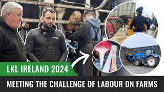 Meeting the Challenge of Labour on Farms | LKL Ireland 2024