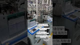 양말도매는 으뜸양말 전국1등 최저가