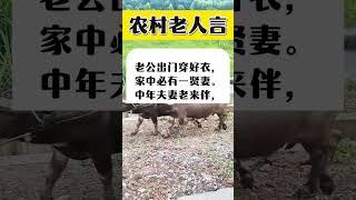 农村老人言。 #生活小常识 #传统文化 #国学智慧 #夫妻相处之道