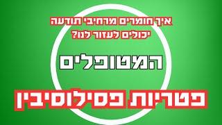 פרק27 - פטריות פסילוסיבין