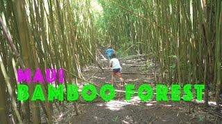 Best Free Things to do on Maui (series) - The Bamboo Forest