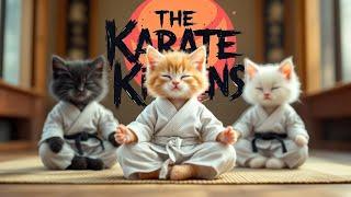 Karate Kittens Demonstrating Meowtial Arts 