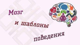 Мозг и шаблоны поведения