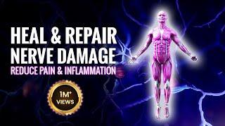 Heal and Repair Nerve Damage | Reduce Pain and Inflammation | Nerve Regeneration Isochronic Tones