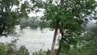 muthathi forest (1)