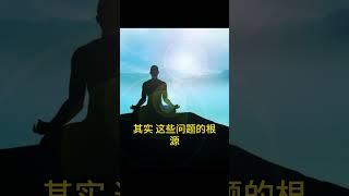 一场从喧嚣回归本心的修行