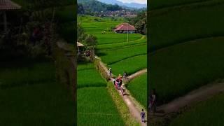 SIAPA YG PENGEN TINGGAL DI KAMPUNG INI???