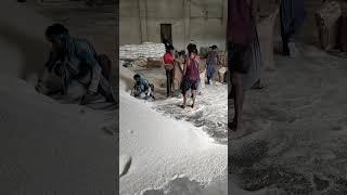 Jahan Khushi milta Sona vahi Rahe #viralvideo #shorts #youtubeshorts