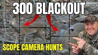 300 Blackout for Deer? - Scope Camera Hunting Footage and Energy Charts