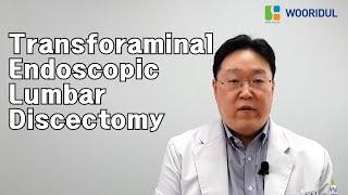 Transforaminal Endoscopic Lumbar Discectomy(TELD)/Wooridul Spine Hospital