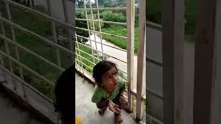 @Nirajsharmat66#trending #viral #viralvideo #shorts #shortvideo